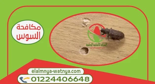 WhatsApp Image 2022 01 06 at 3 15 20 PM 1