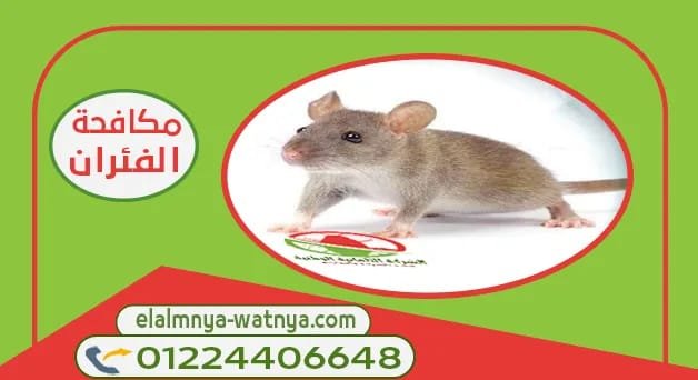 WhatsApp Image 2022 01 06 at 3 15 20 PM 2