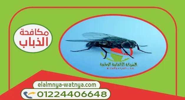 WhatsApp Image 2022 01 06 at 3 15 20 PM