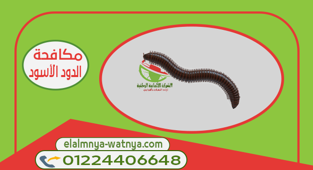 ما هو الدود الاسود وما هي اسباب تواجده في المنزل - الشركة الالمانية ...