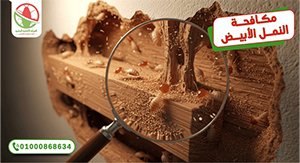 مكافحة النمل الابيض كوفر