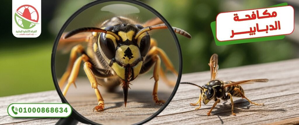 WhatsApp Image 2025 10 11 at 19.34.52 (1)