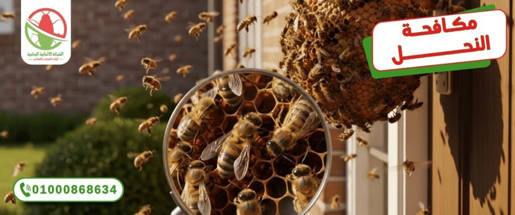 WhatsApp Image 2025 10 11 at 19.34.57