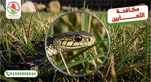 مكافحة الثعابين كوفر