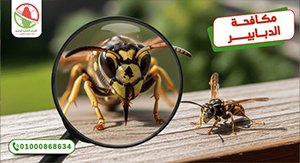 مكافحة الدبابير كوفر