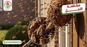 مكافحة النحل كوفر