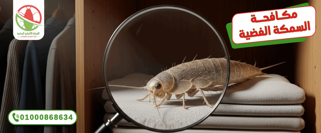 imgi 4 حشرة السمكه الفضيه