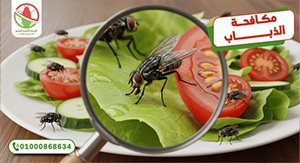 مكافحة الذباب كوفر