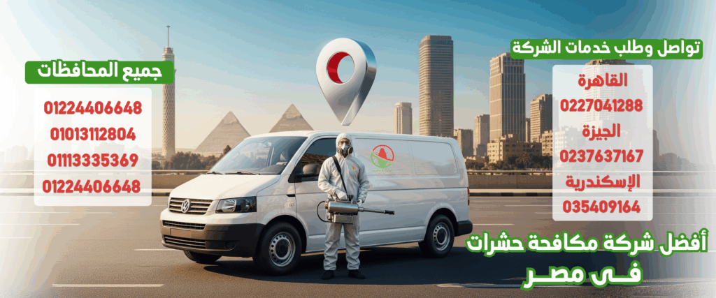 افضل شركة مكافحة حشرات في مصر