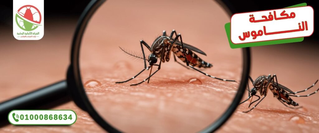 WhatsApp Image 2025 10 11 at 19.34.46 (2)