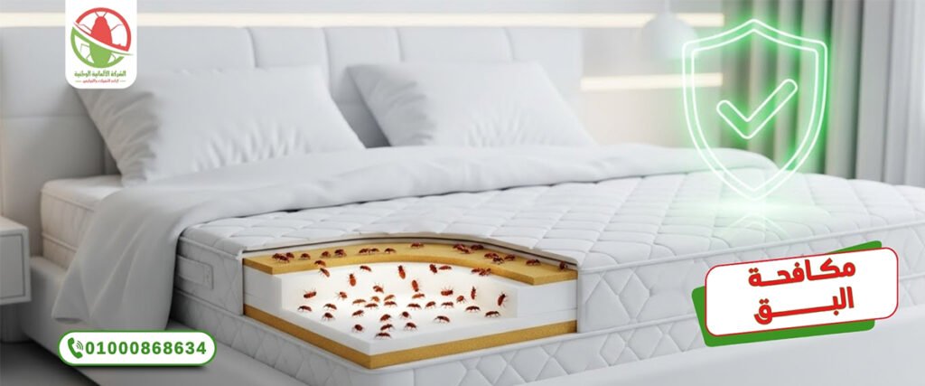 مكافحة بق الفراش في القاهرة - الالمانية الوطنة لمكافحة الحشرات