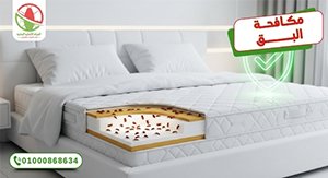 مكافحة حشرة الفراش   الالمانية الوطنية لمكافحة الحشرات