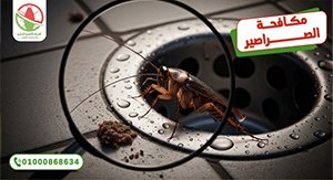 مكافحة الصراصير بالجل الألماني في القاهرة - الالمانية الوطنية لمكافحة الحشرات