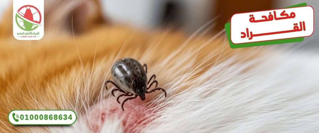 WhatsApp Image 2025 12 20 at 11 34 52