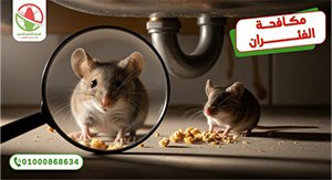 المداخل السرية للقوارض   الالمانية الوطنية لمكاقحة الحشرات