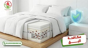 آلام الظهر وحشرة الفراش   الالمانية الوطنية لكافحة الحشرات